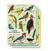 Cavallini & Co. Brid Watching Mini Notebook Set