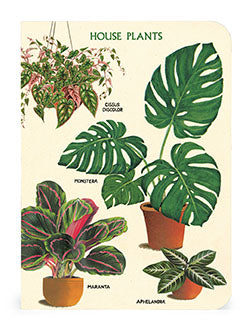 Cavallini & Co. House Plants Mini Notebook Set