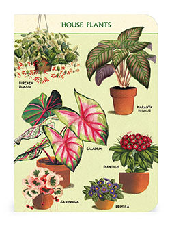 Cavallini & Co. House Plants Mini Notebook Set