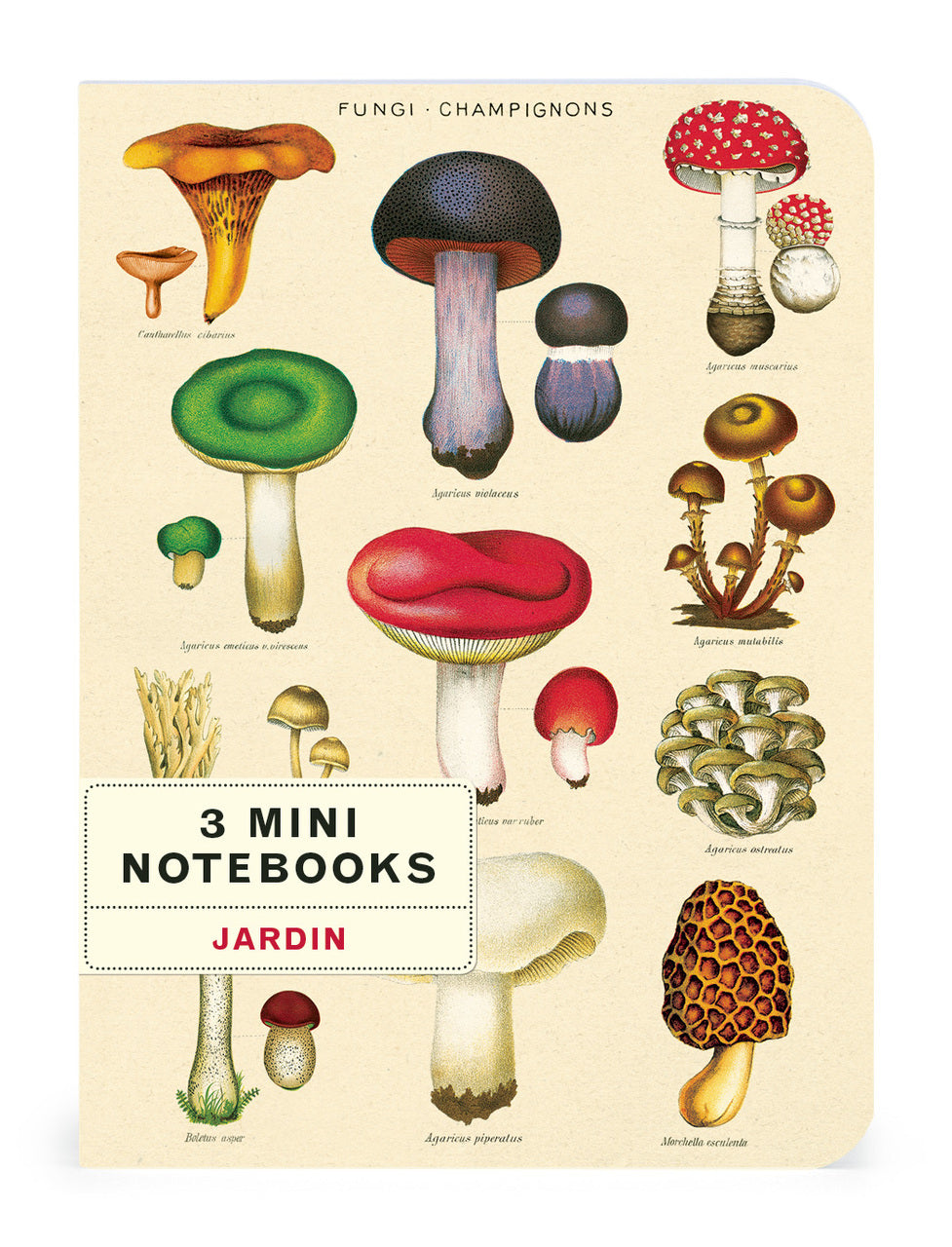 The Mini Notebooks measure 4 by 5.5 inches. 