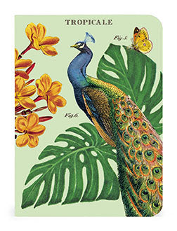 Cavallini & Co. Tropicale Mini Notebook Set