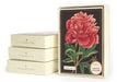 Cavallini & Co. Botanica Boxed Notecards