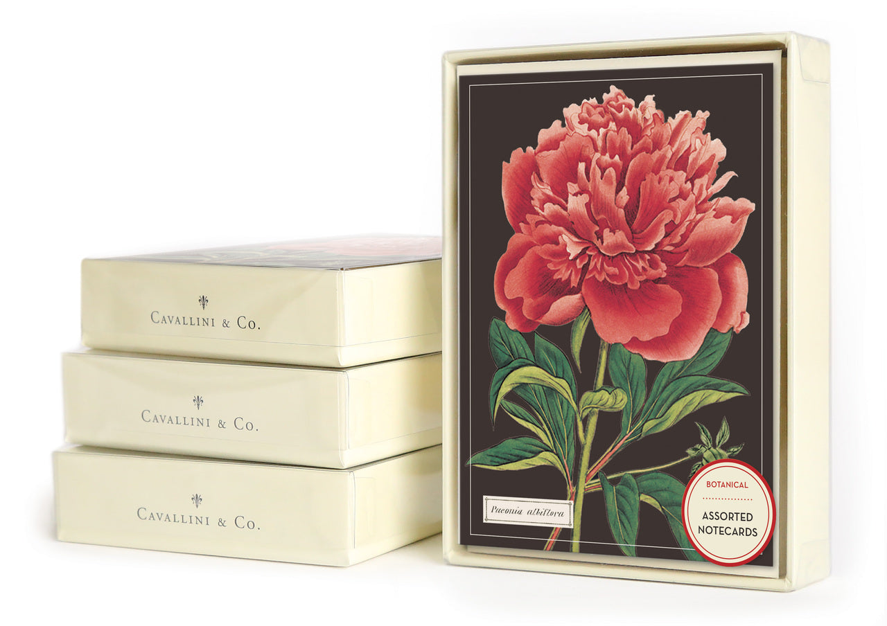 Cavallini & Co. Botanica Boxed Notecards