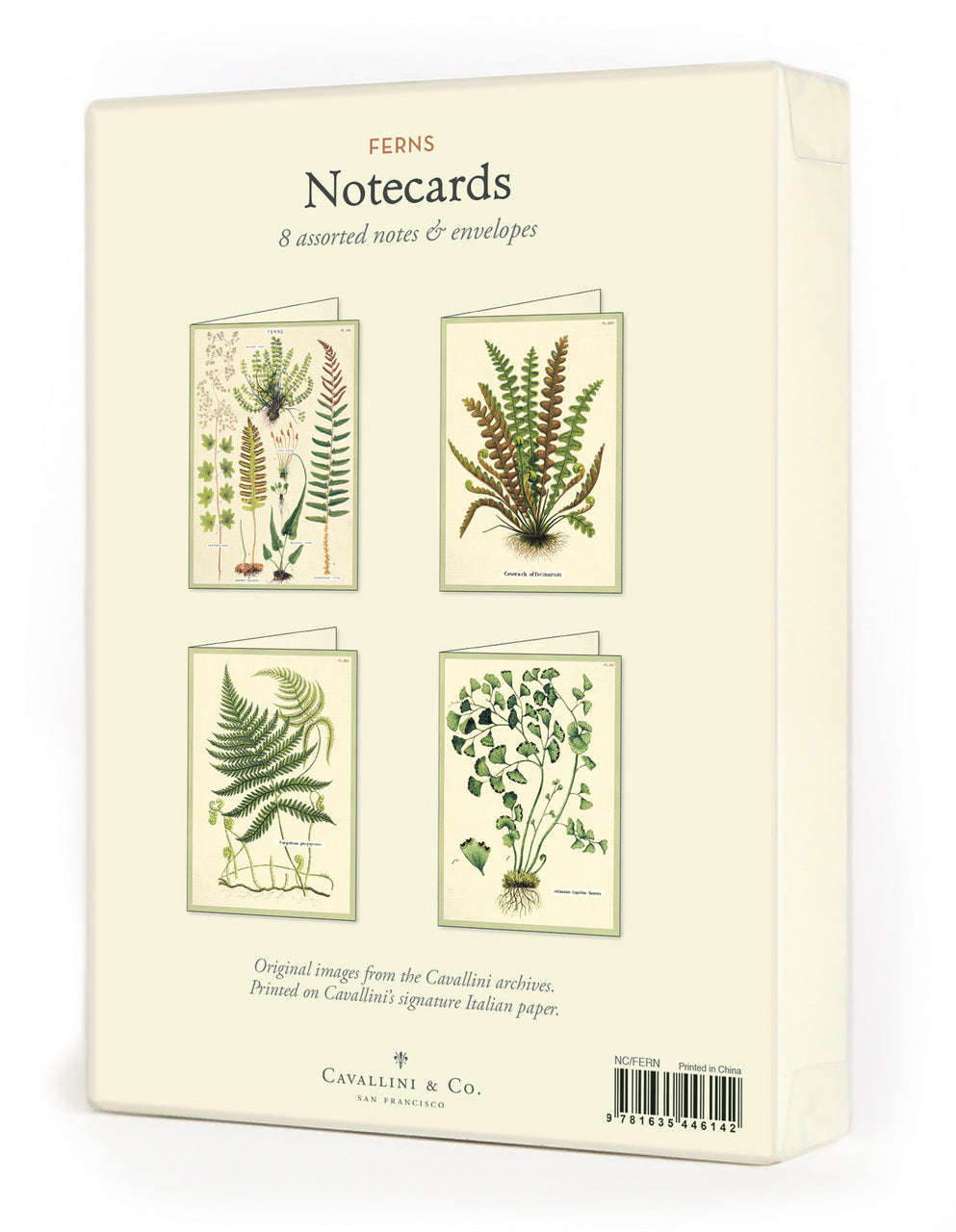 Cavallini & Co. Ferns Boxed Notecards includes 8 cards, 2 each of 4 designs. 