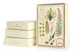 Cavallini & Co. Ferns Boxed Notecards