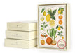 Cavallini & Co. Jardin boxed notecard set. 