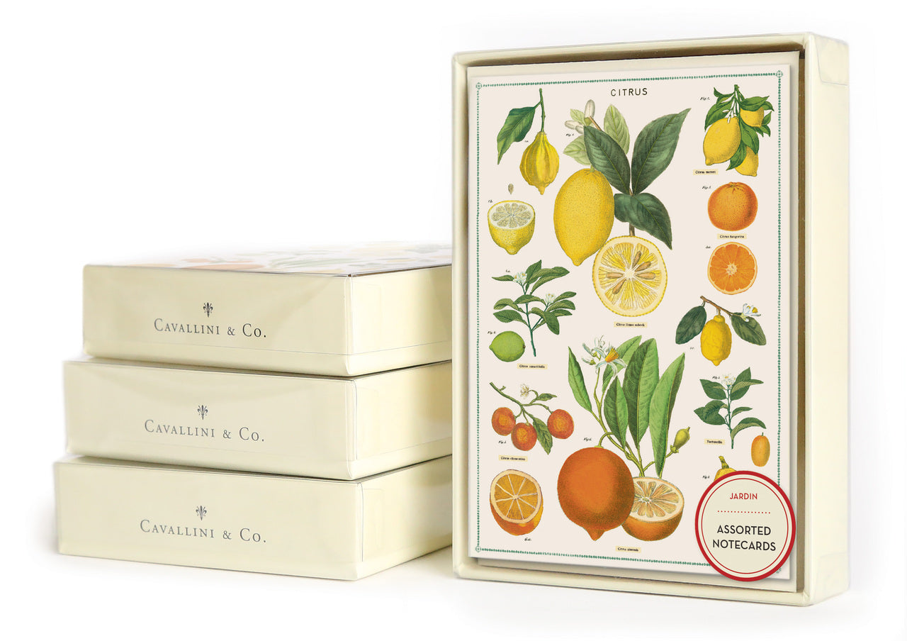 Cavallini & Co. Jardin boxed notecard set. 