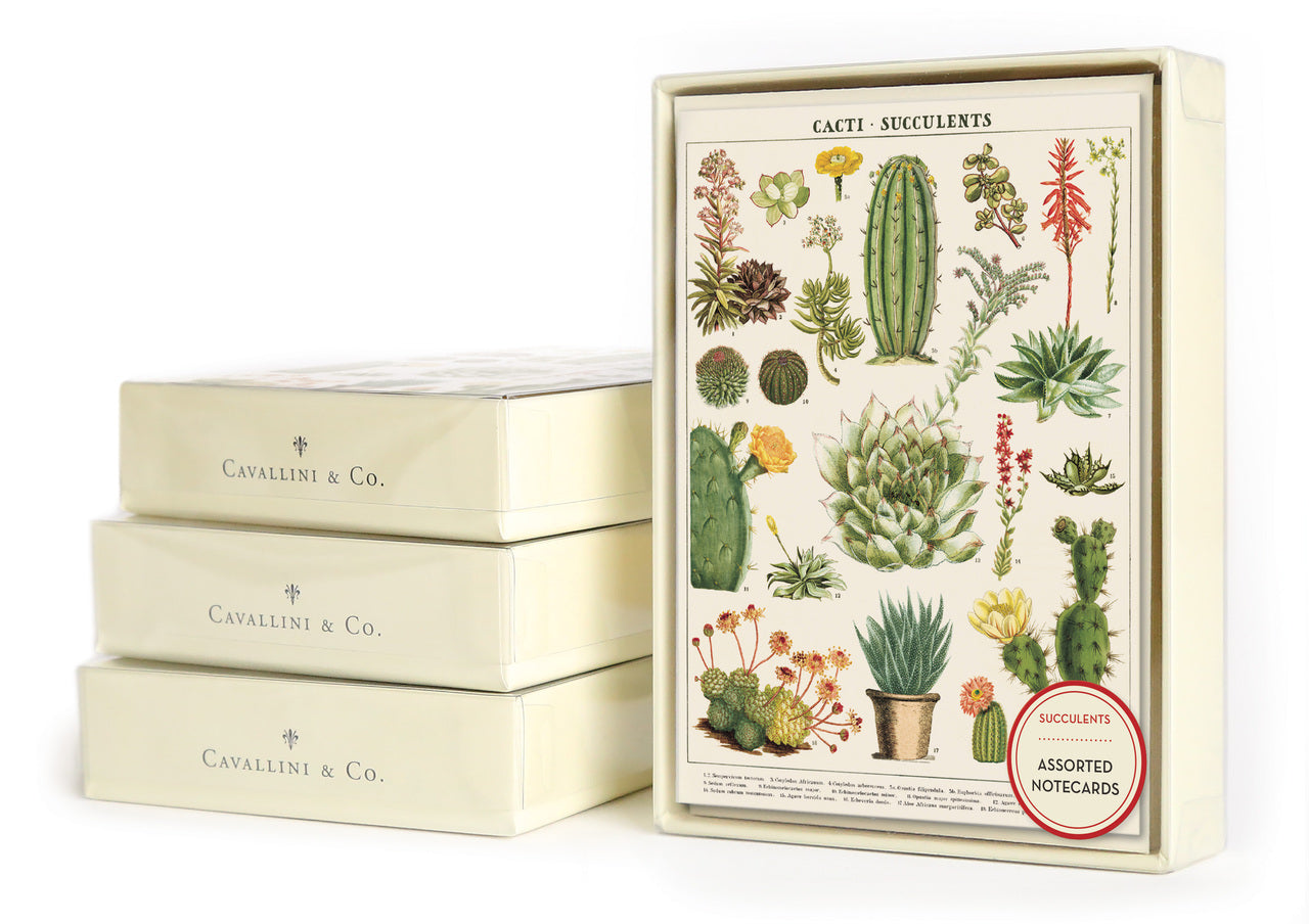 Cavallini & Co. Succulents Boxed Notecards