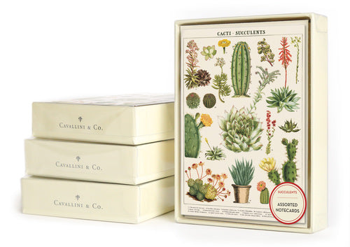 Cavallini & Co. Succulents Boxed Notecards