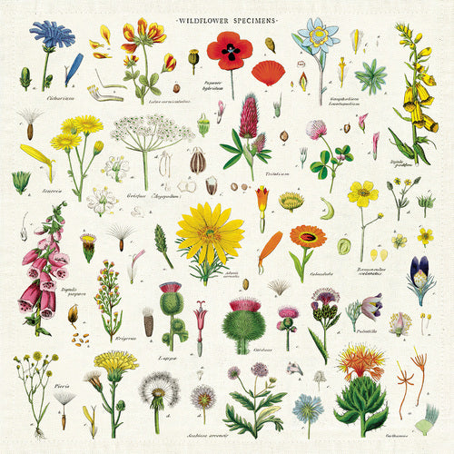 Cavallini & Co. Wildflowers Cotton Napkins- Set of 4