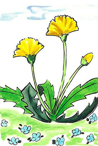 Sai Watercolor Brush Pens- Summer Color Set of 5 (set B)