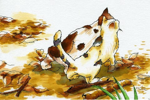 Sai Watercolor Brush Pens- Autumn Color Set of 5 (set C)