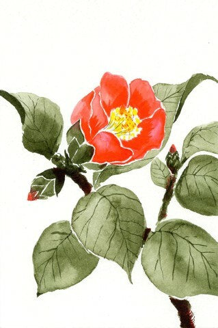 Sai Watercolor Brush Pens- Autumn Color Set of 5 (set C)