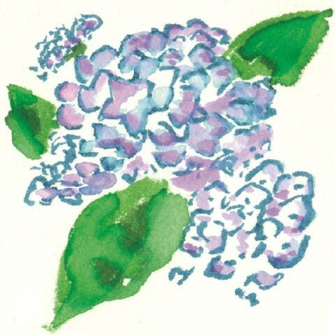 Sai Watercolor Brush Pens- Summer Color Set of 5 (set B)