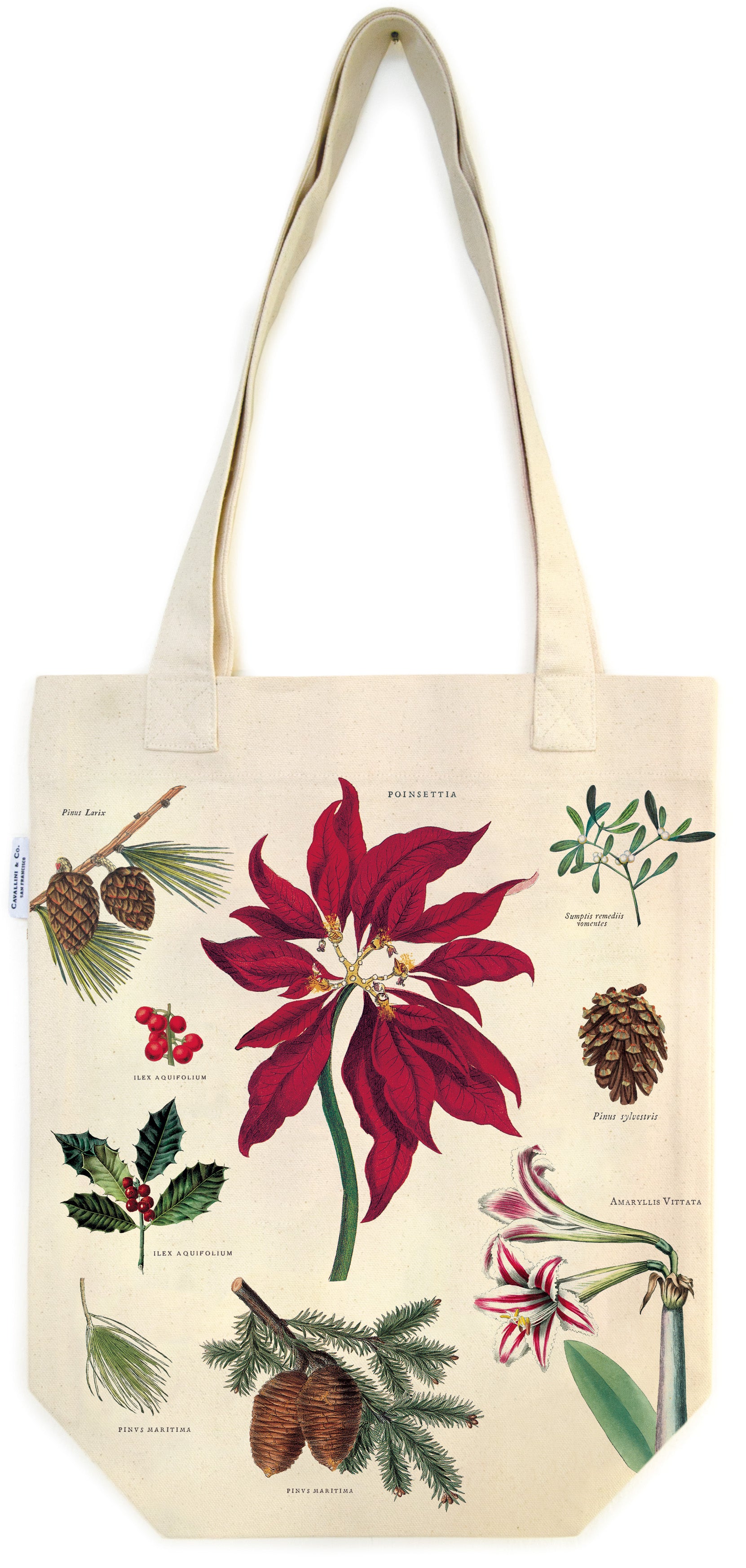 Cavallini & Co. Christmas Botanica Cotton Tote Bag