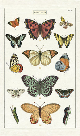 Cavallini & Co. Butterflies Cotton Tea Towel