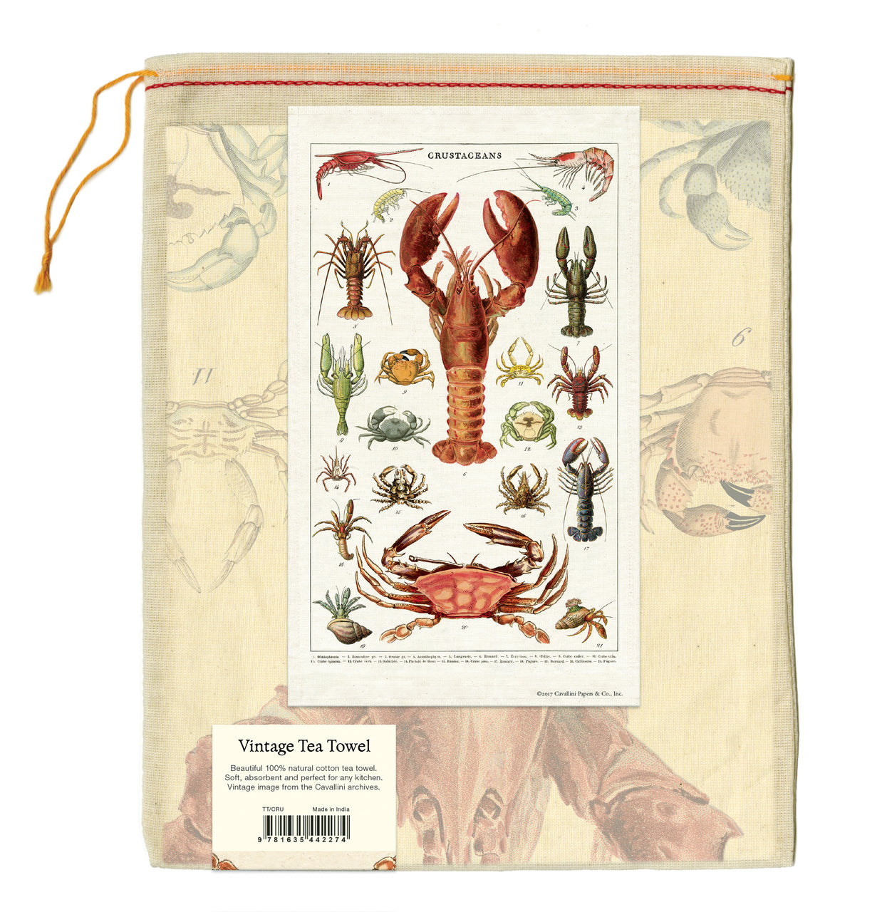 Cavallini & Co. natural cotton tea towels measure 19" x 31.75" (48cm x 80cm).