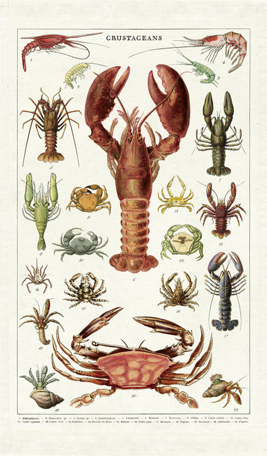 Cavallini & Co. Crustaceans Cotton Tea Towel