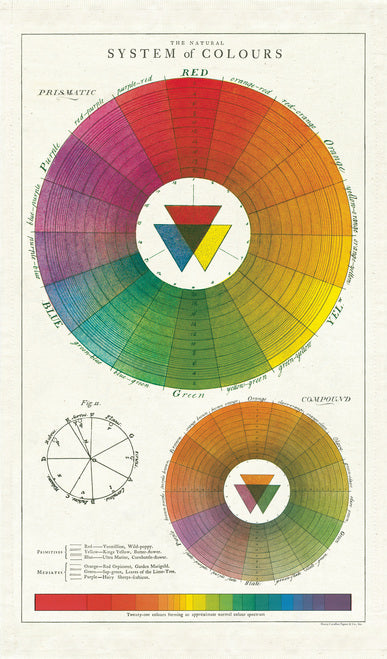 Cavallini & Co. Color Wheel Cotton Tea Towel