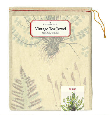 Cavallini & Co. natural cotton tea towels measure 19" x 31.75" (48cm x 80cm).