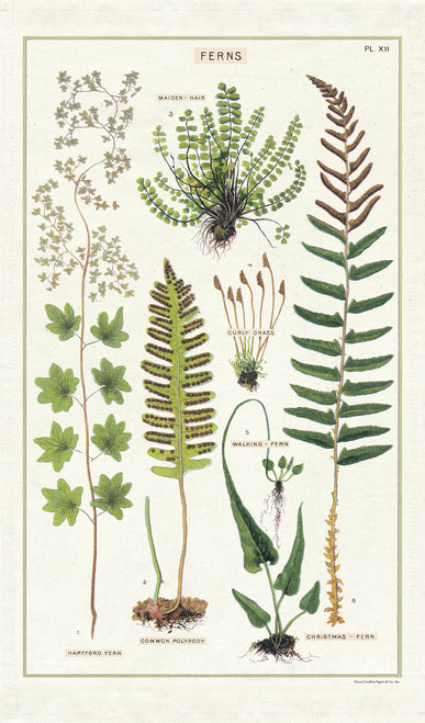 Cavallini & Co. Ferns Cotton Tea Towel