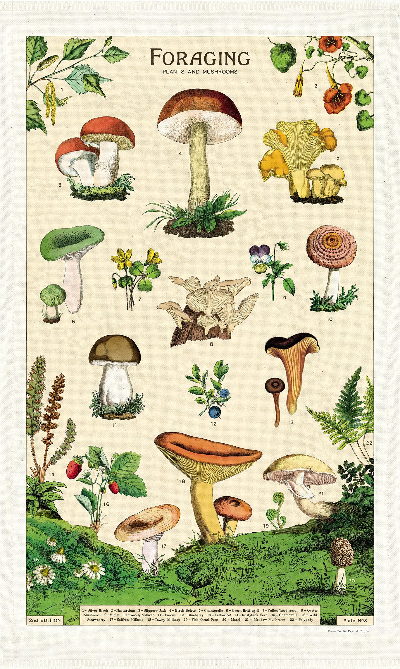 Cavallini & Co. Foraging Cotton Tea Towel