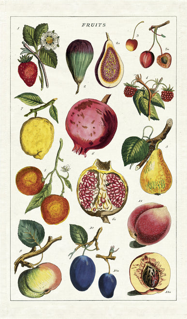 Cavallini & Co. Fruit Cotton Tea Towel