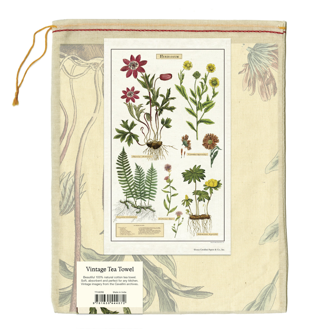 Cavallini & Co. natural cotton tea towels measure 19" x 31.75" (48cm x 80cm).