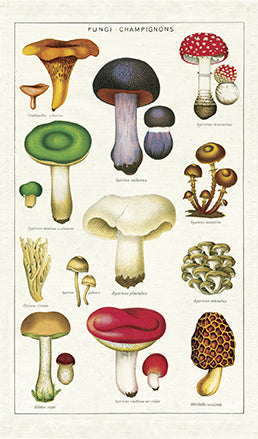 Cavallini & Co. Mushrooms Cotton Tea Towel