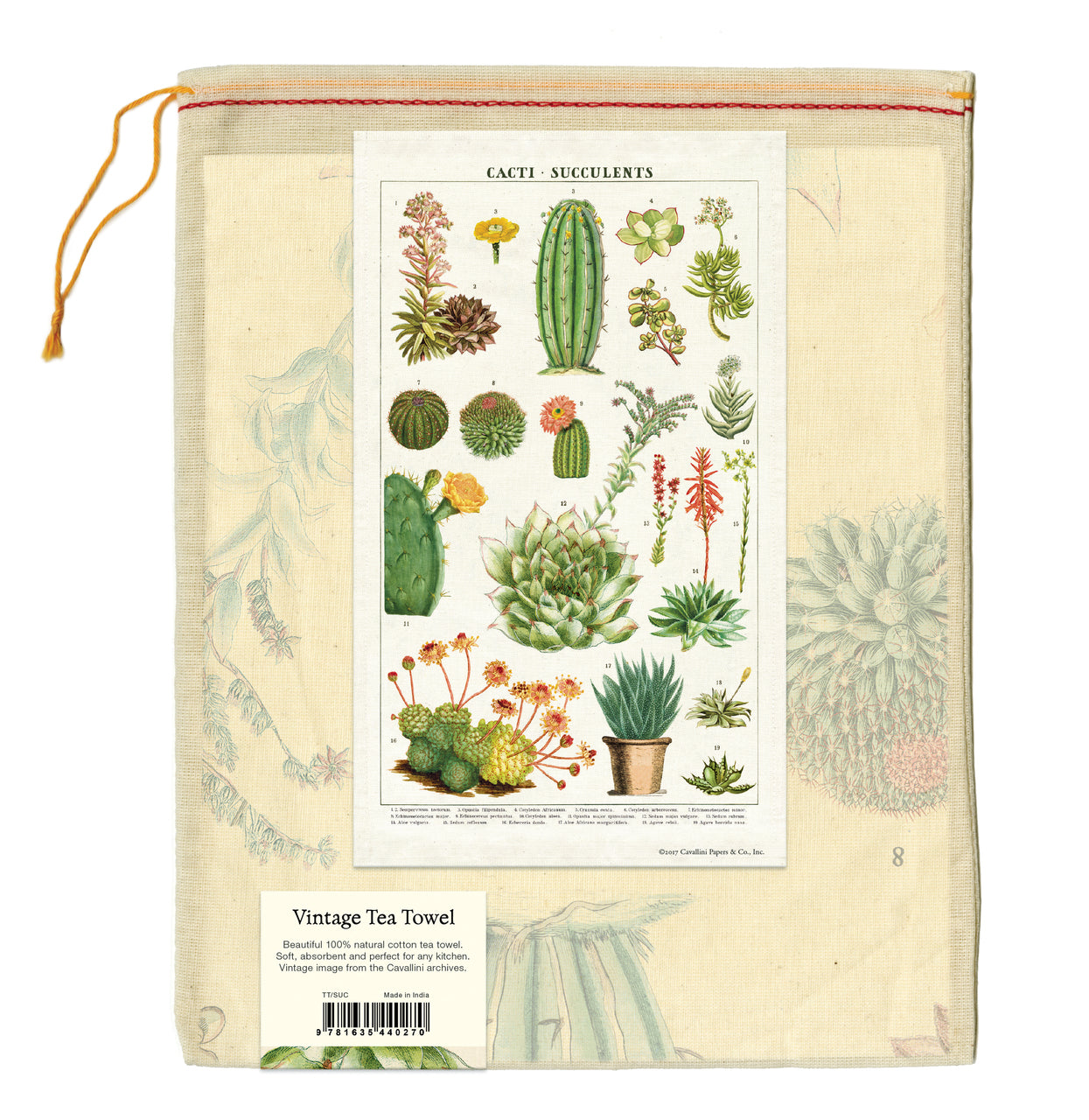 Cavallini & Co. natural cotton tea towels measure 19" x 31.75" (48cm x 80cm).