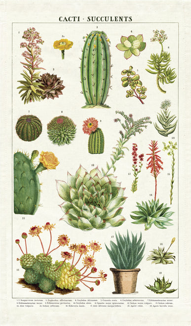 Cavallini & Co. Succulents Cotton Tea Towel