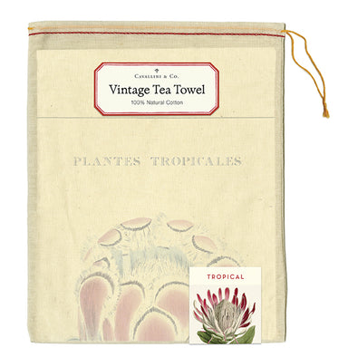 Cavallini & Co. natural cotton tea towels measure 19" x 31.75" (48cm x 80cm).