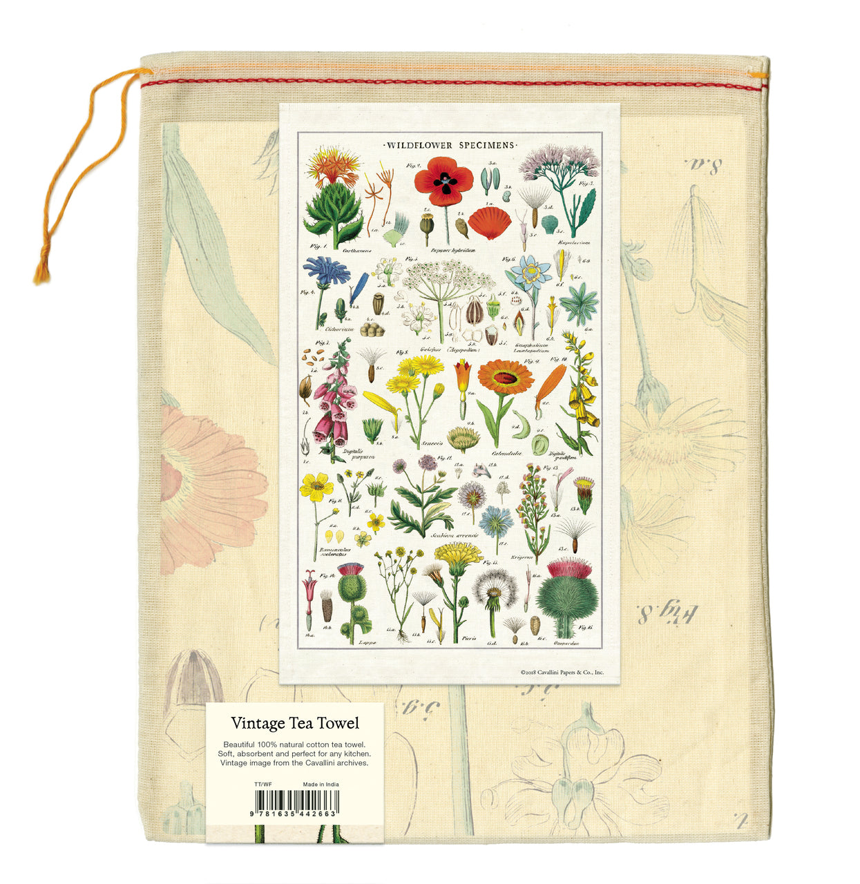 Cavallini & Co. natural cotton tea towels measure 19" x 31.75" (48cm x 80cm).