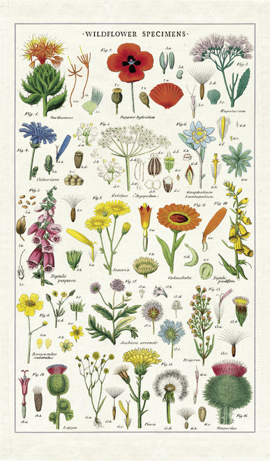 Cavallini & Co. Wildflowers Cotton Tea Towel