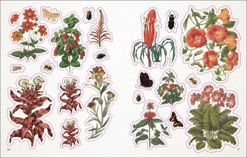 The Botanist's Sticker Anthology