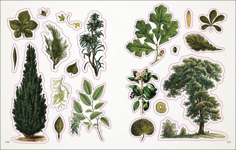 The Botanist's Sticker Anthology