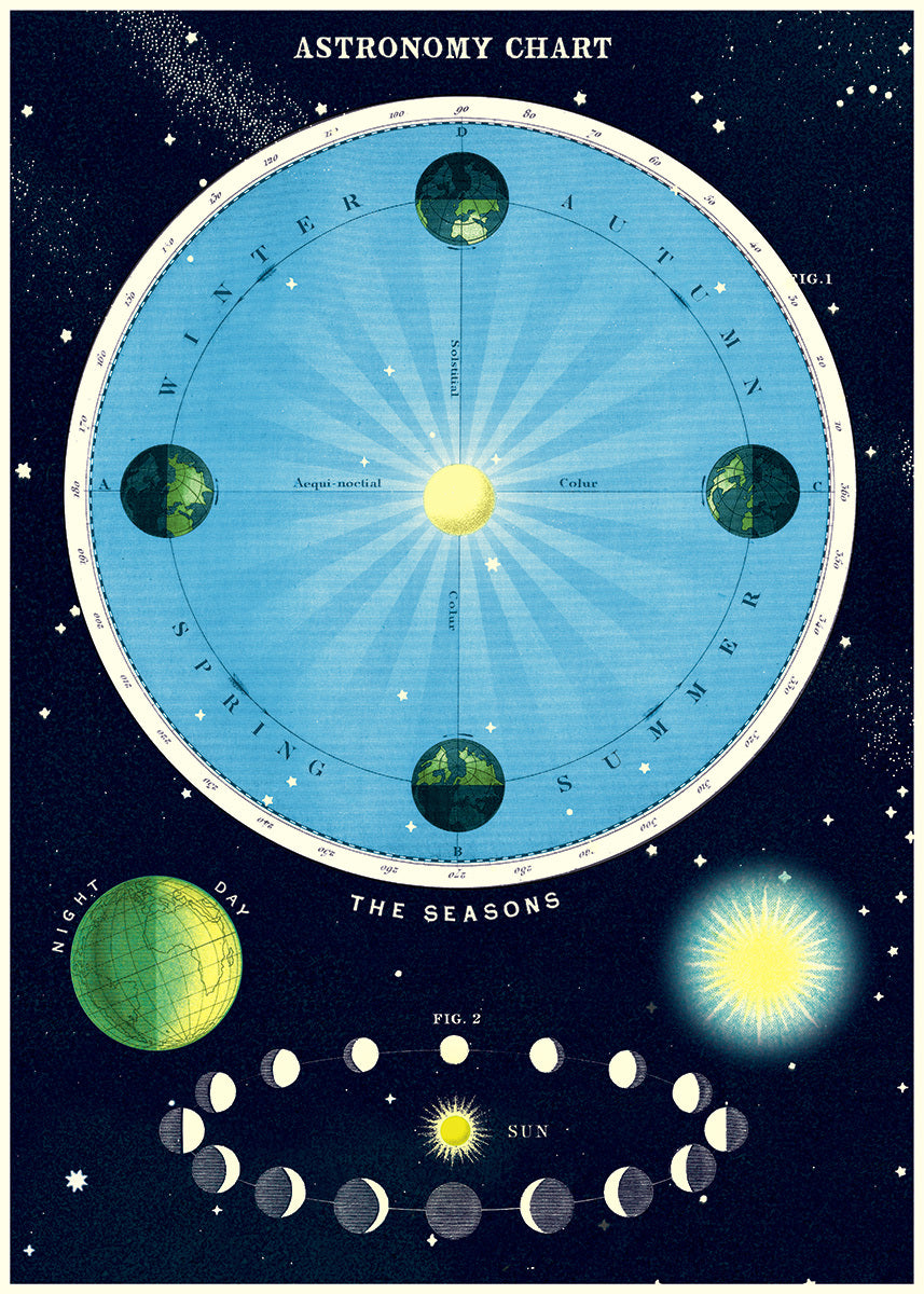 Astronomy Chart by Cavallini & Co. is ready for framing!