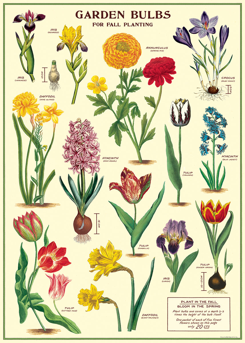 Cavallini & CO. Garden Bulbs Decorative Paper