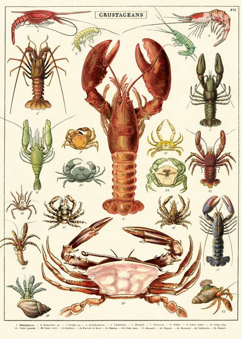 Cavallini & Co. Crustaceans Decorative Paper