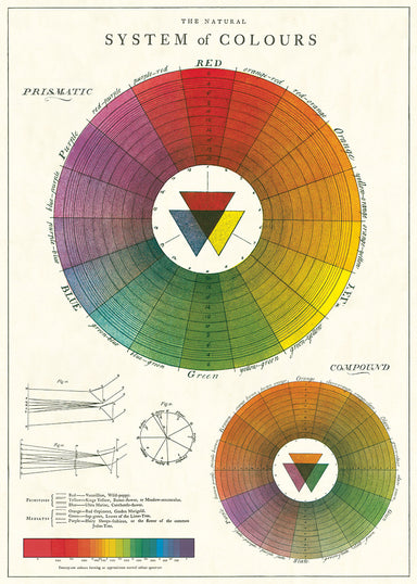 Add some design to your design. Color Wheel wrap is bright and... colorful.  