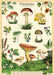 Cavallini & Co. Forage Decorative Wrap