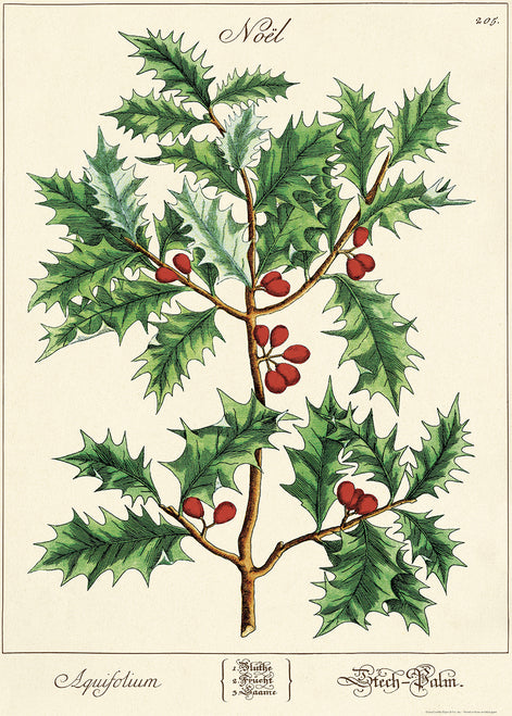 Cavallini & Co. Holly Sprig Decorative Paper