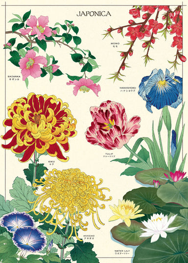 Cavallini & Co. Japonica Decorative Paper