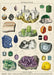 Cavallini Mineralogie Decorative Wrap features a reproduction of a vintage mineral catalog. 
