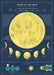 Cavallini & Co. Moon Chart Decorative Paper