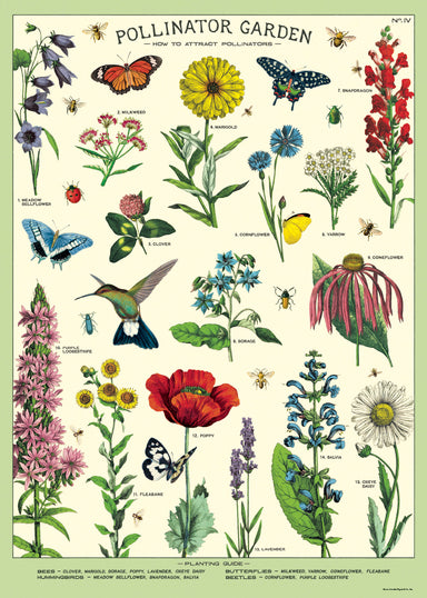 Cavallini & Co. Pollinators Decorative Wrap