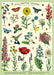 Cavallini & Co. Pollinators Decorative Wrap