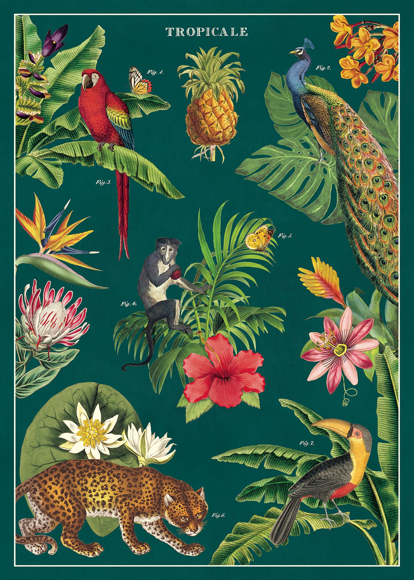 Cavallini & Co. Tropicale Decorative Paper