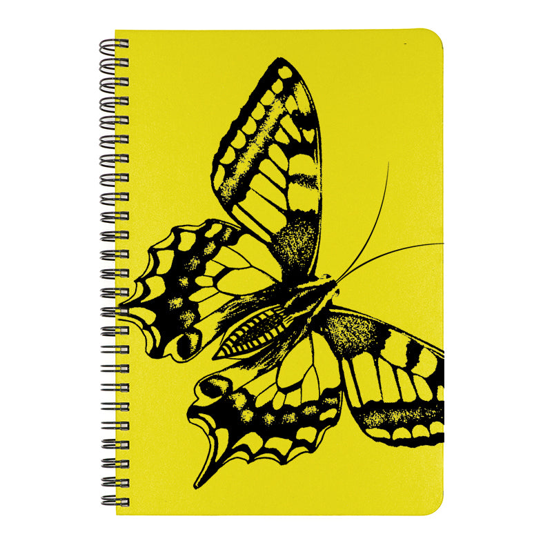 A welcome addition to anyone's garden. We love butterflies. 
