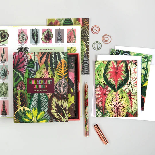 Houseplant Jungle Greeting Assortment Notecards